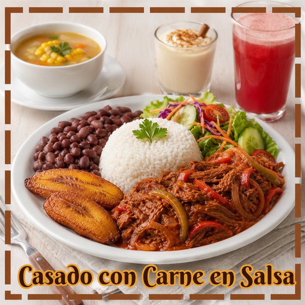 CASADO CON CARNE EN SALSA
